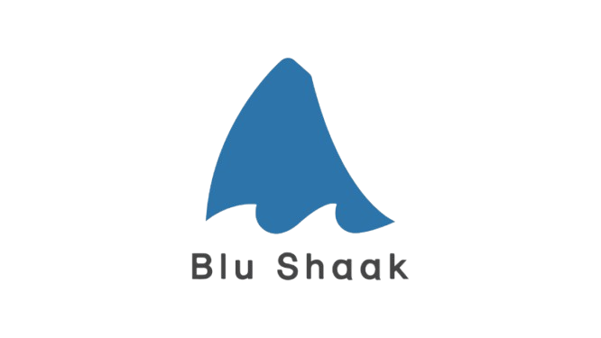 Blu-Shaak-Klien-RSO-Consulting-2